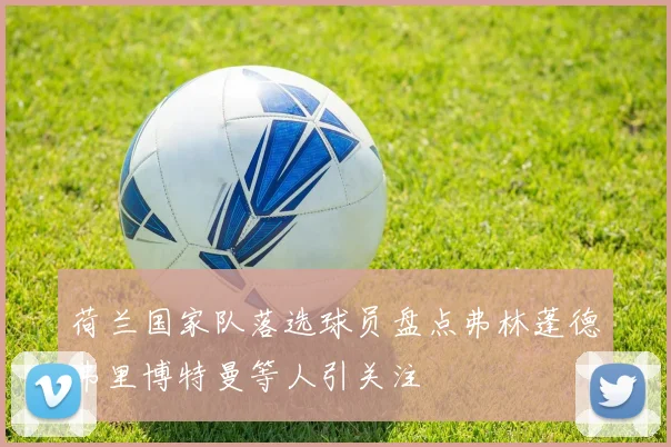 荷兰国家队落选球员盘点弗林蓬德弗里博特曼等人引关注